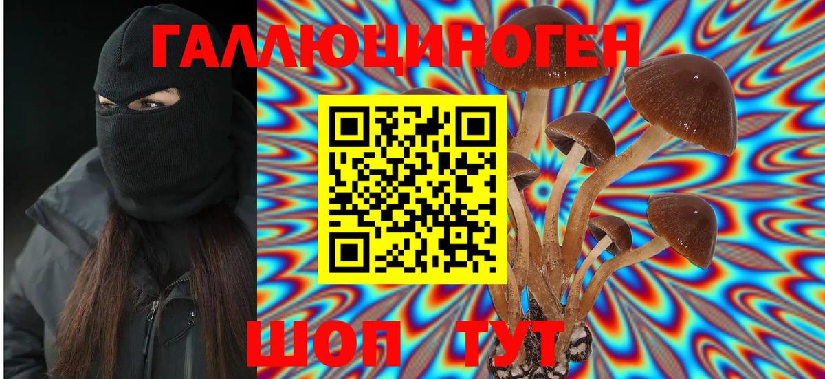 Галлюциногенные грибы GOLDEN TEACHER Киселёвск